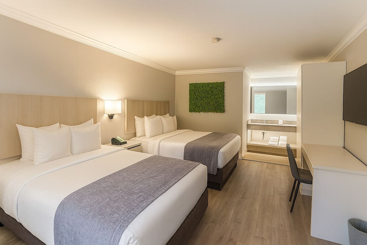 Ein Hotelzimmer mit zwei Betten, einem Schreibtisch, einem Stuhl, einem Spiegel und einer grünen Wanddekoration.
