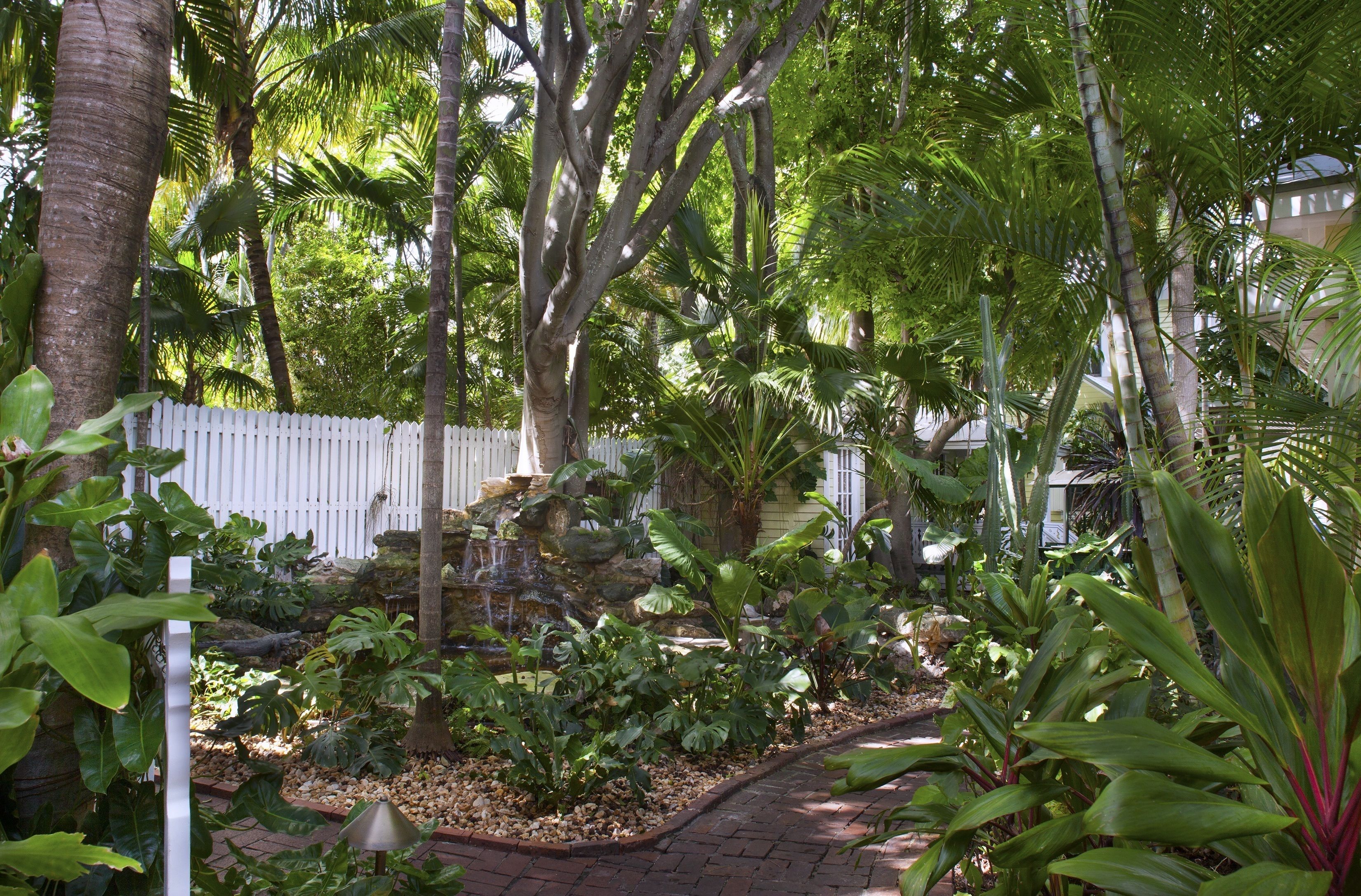 Photo - Island City House