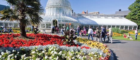 A greenhouse with a dome structure surrounded by flower beds.
