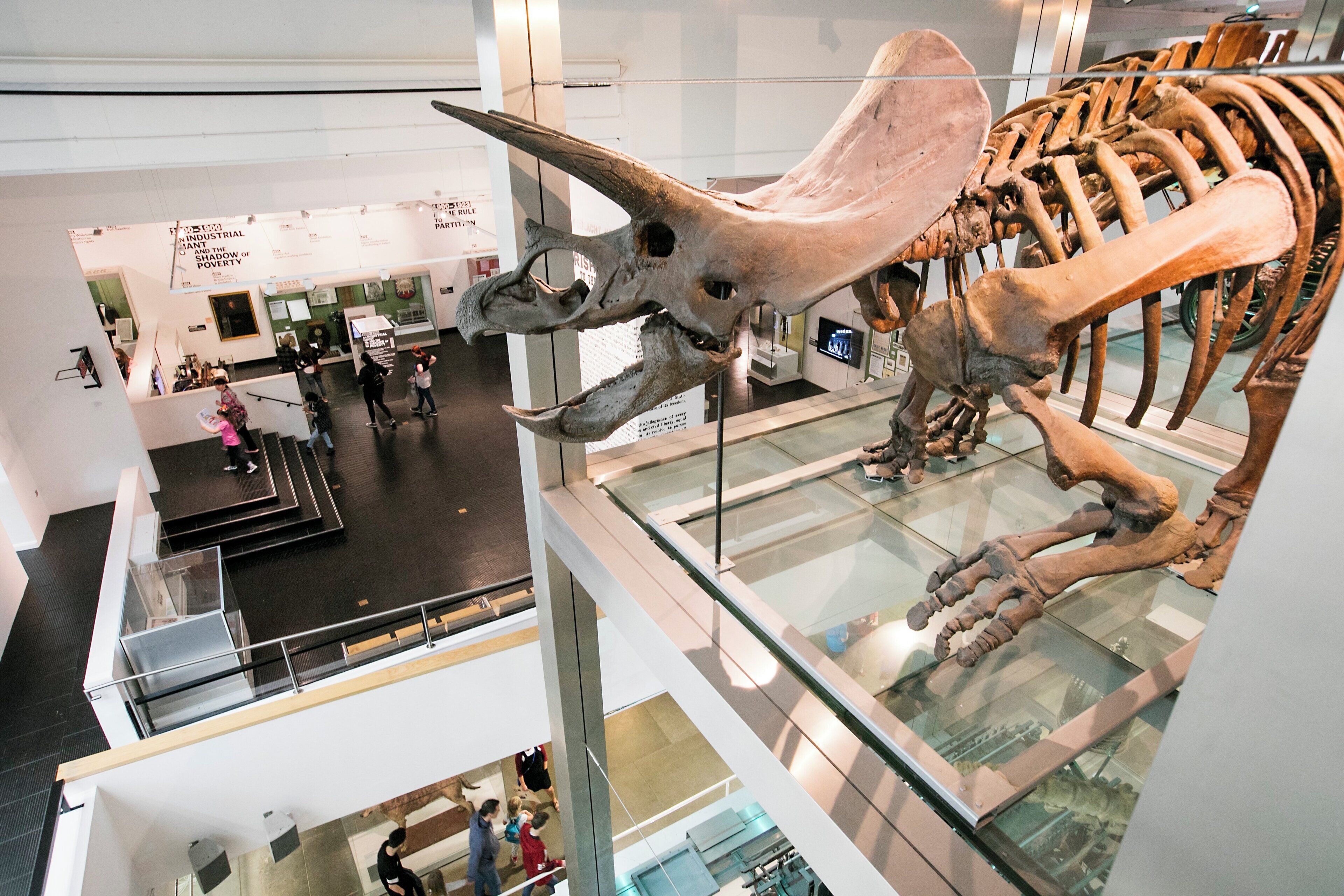 Une exposition de musée présentant un grand squelette de dinosaure exposé dans une vitrine.