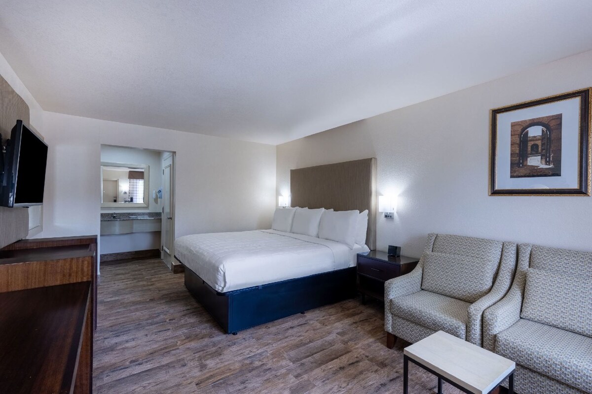 A hotel room with a bed, a sofa, a TV, a bedside table, and a framed picture on the wall.