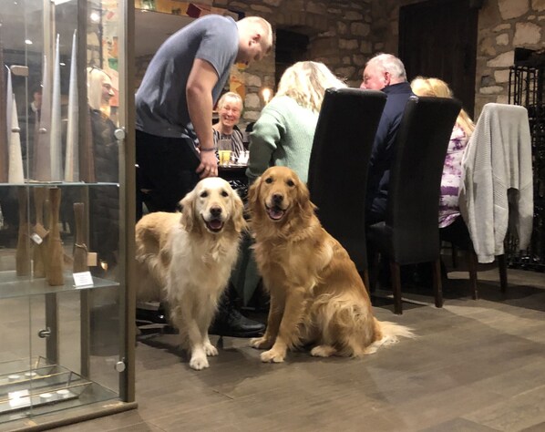 Pet-friendly amenities - Pettifers Freehouse Hotel (Malmesbury)