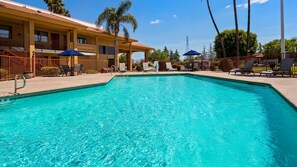 Seasonal outdoor pool, pool loungers