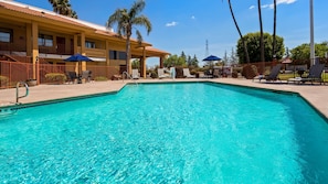 Seasonal outdoor pool, sun loungers