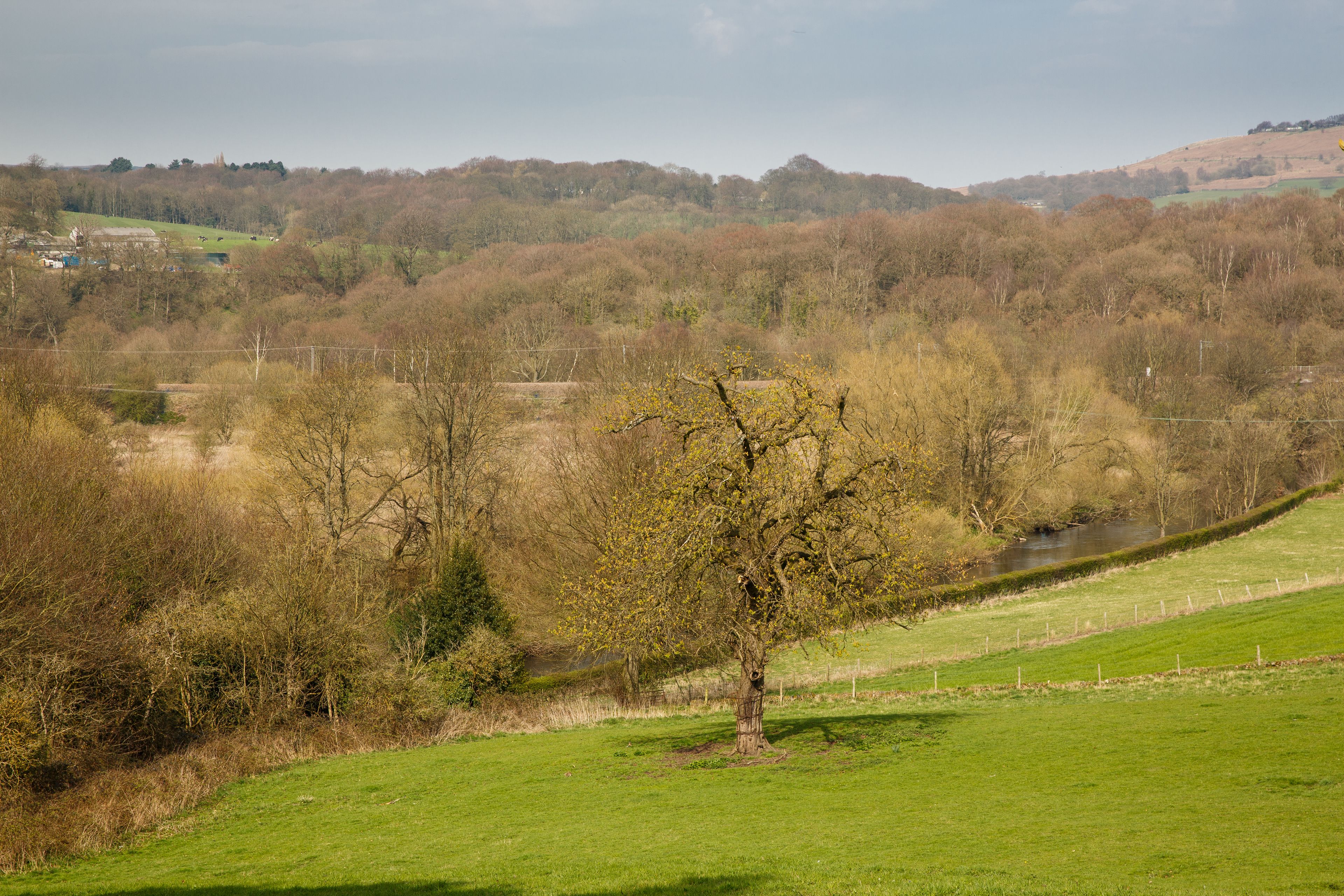 A rural landscape with a single tree in the foreground, a river, and rolling hills in the background.