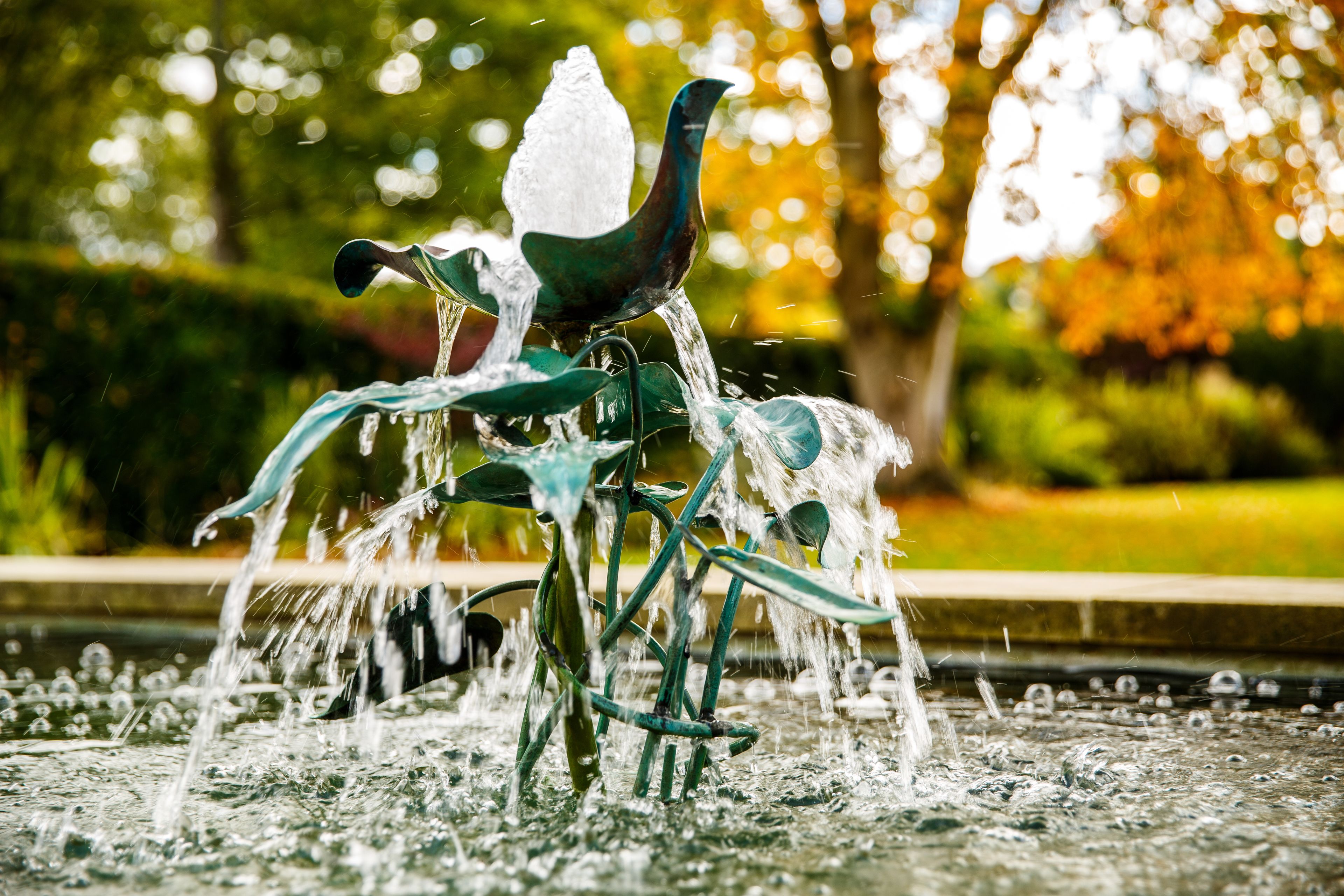 A fountain with water jets and a decorative structure in a park.