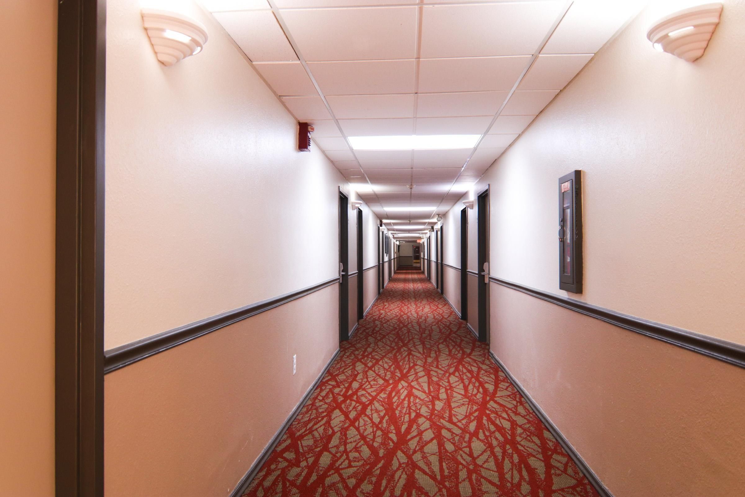 A hotel hallway with a red patterned carpet, white walls, and black trim.