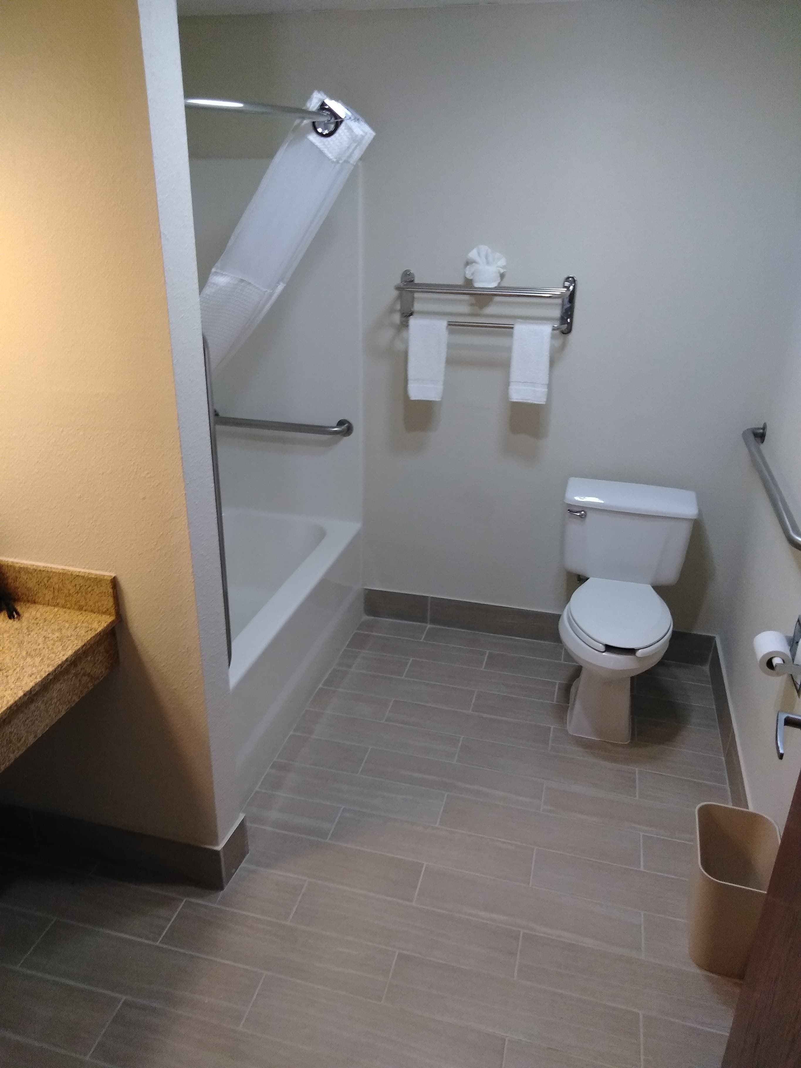 A bathroom with a shower, toilet, and towel rack.