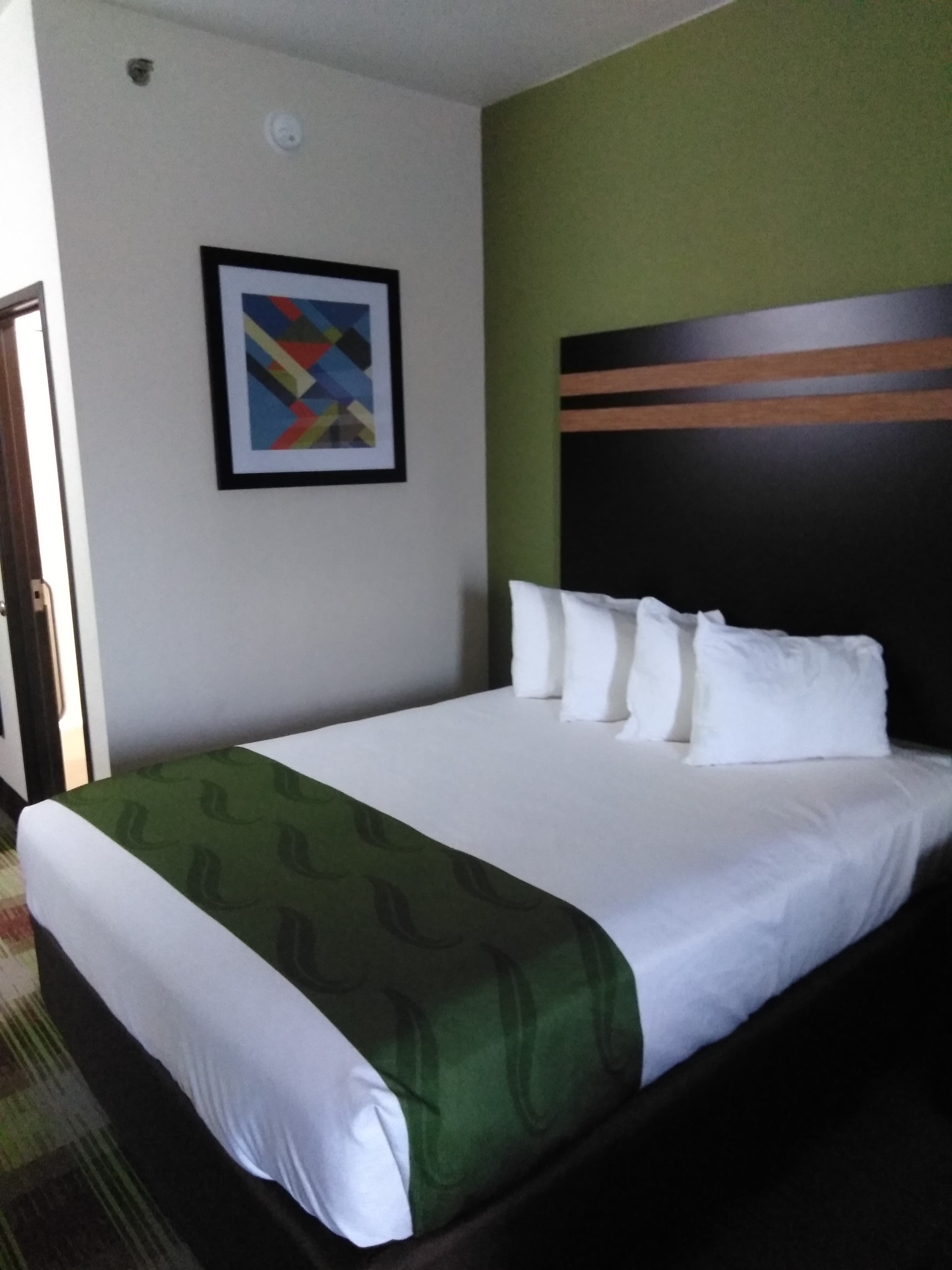 Habitación de hotel con una cama, una colcha estampada verde, almohadas blancas, un cuadro abstracto enmarcado en la pared y una puerta a la izquierda.