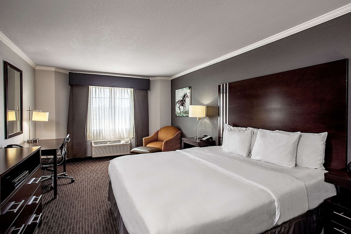 A hotel room with a large bed, a desk with a chair, a small armchair, a bedside table with a lamp, and a window with curtains.