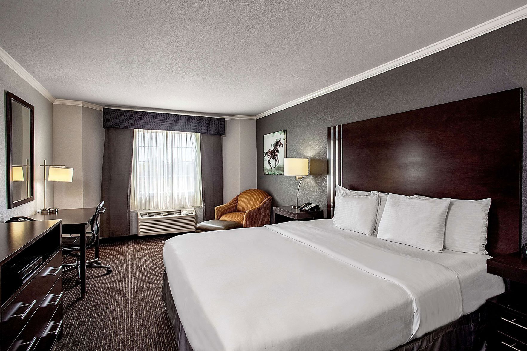 Premium bedding, pillow-top beds, desk, iron/ironing board