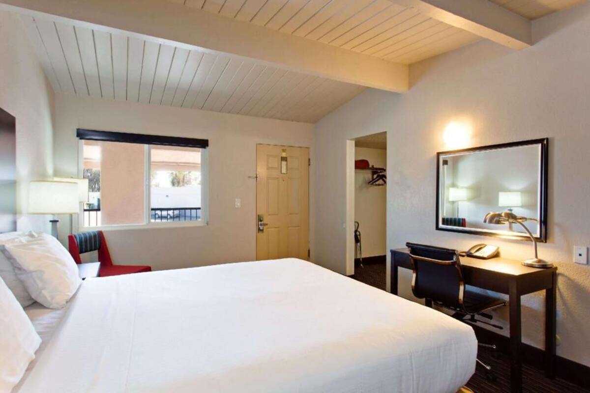 Une chambre d’hôtel avec un lit, un bureau, une chaise et un miroir.