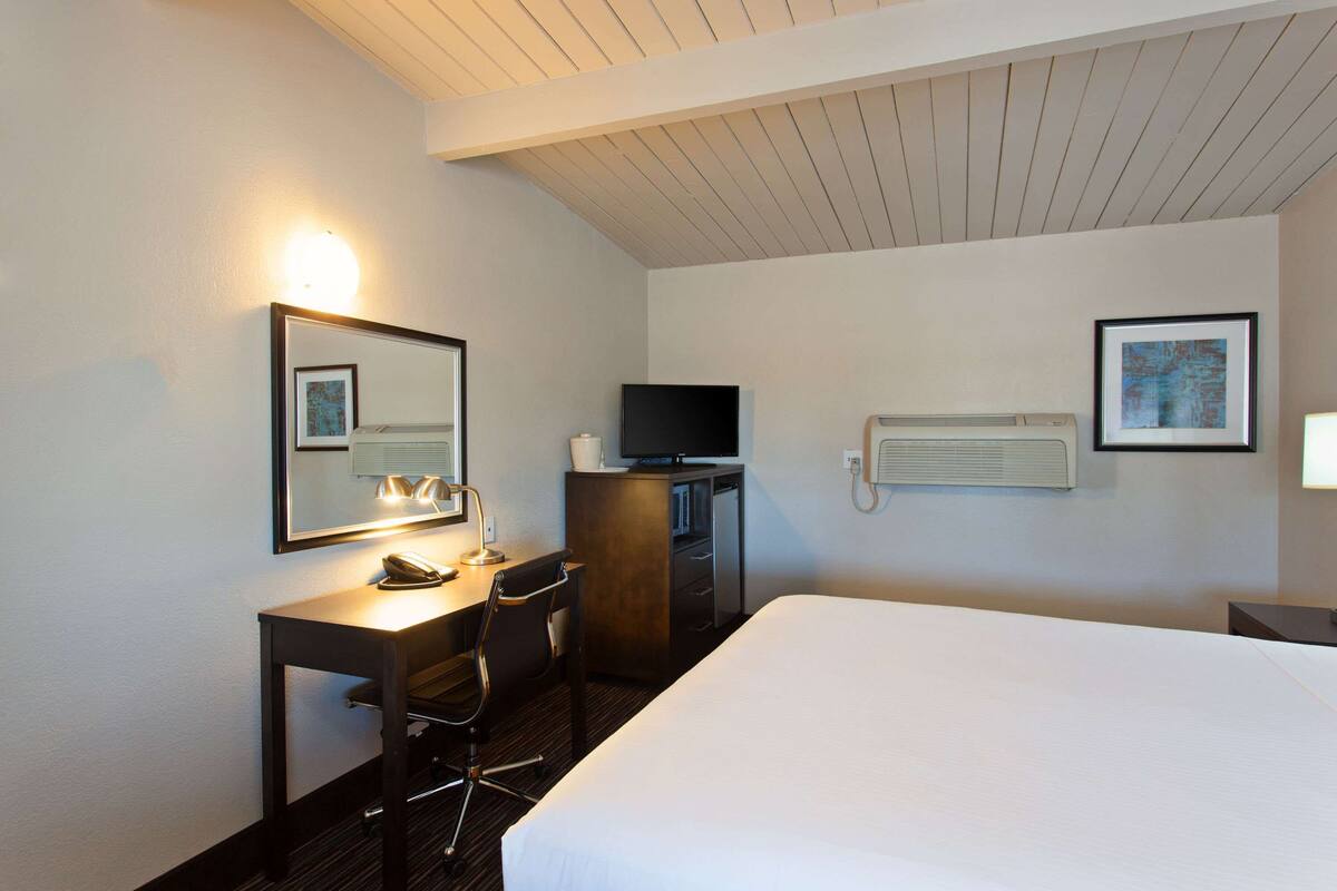Une chambre d’hôtel comprenant un lit, un bureau avec une chaise, une télévision, un miroir et un radiateur fixé au mur.