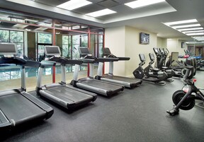 A gym with treadmills, ellipticals, and exercise bikes.