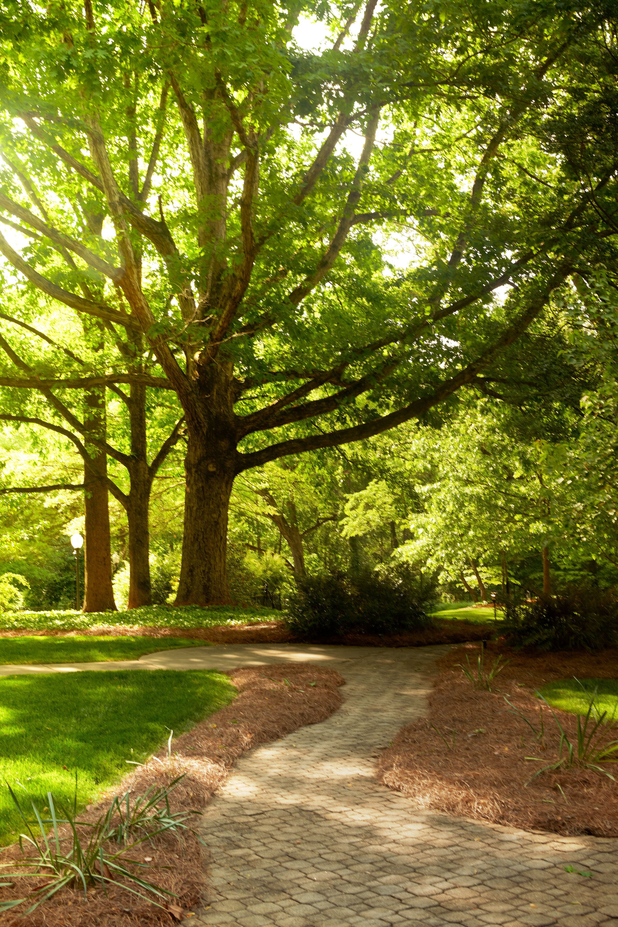 Foto - Emory Conference Center Hotel