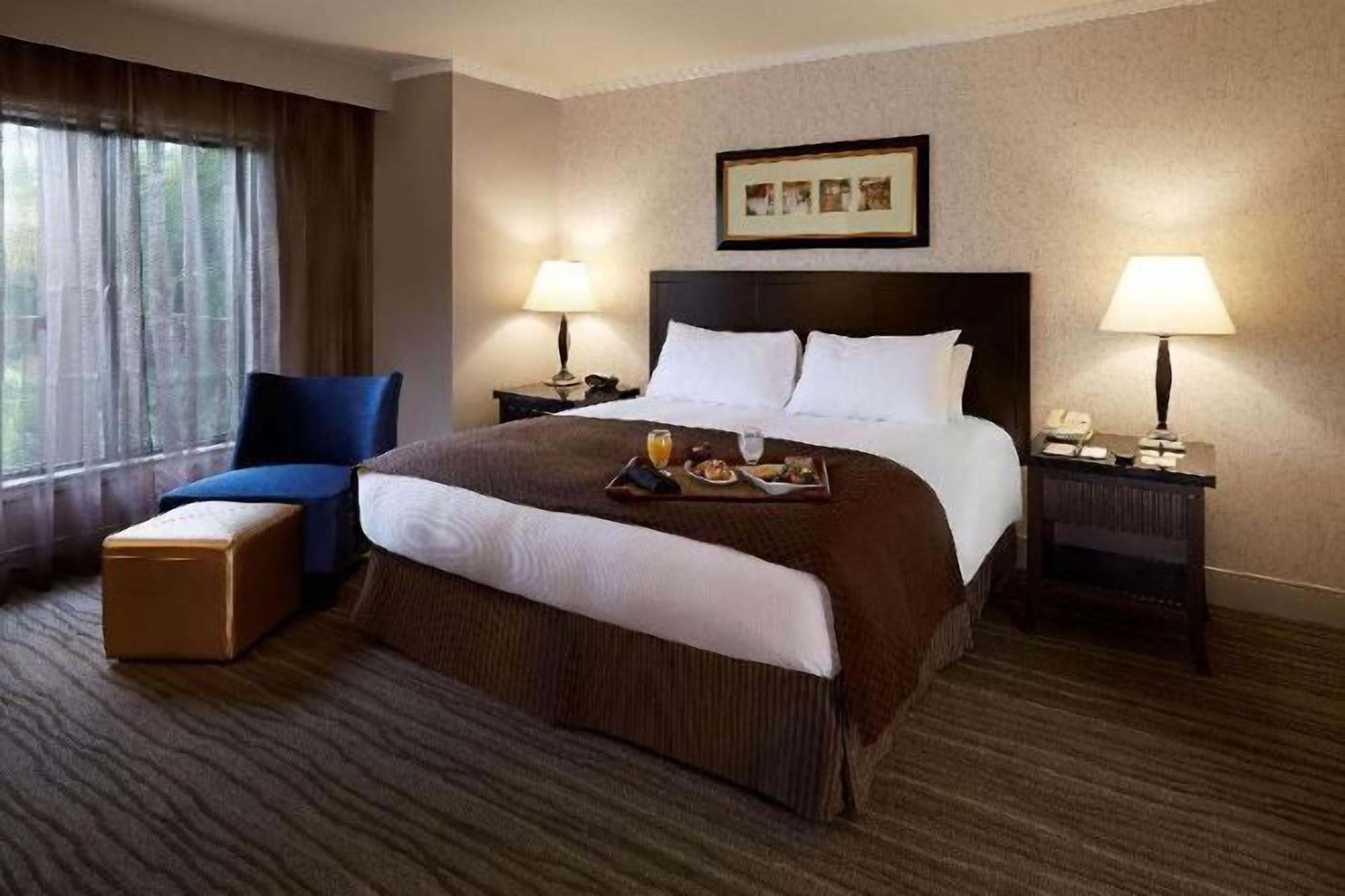 Hypo-allergenic bedding, down duvets, minibar, in-room safe