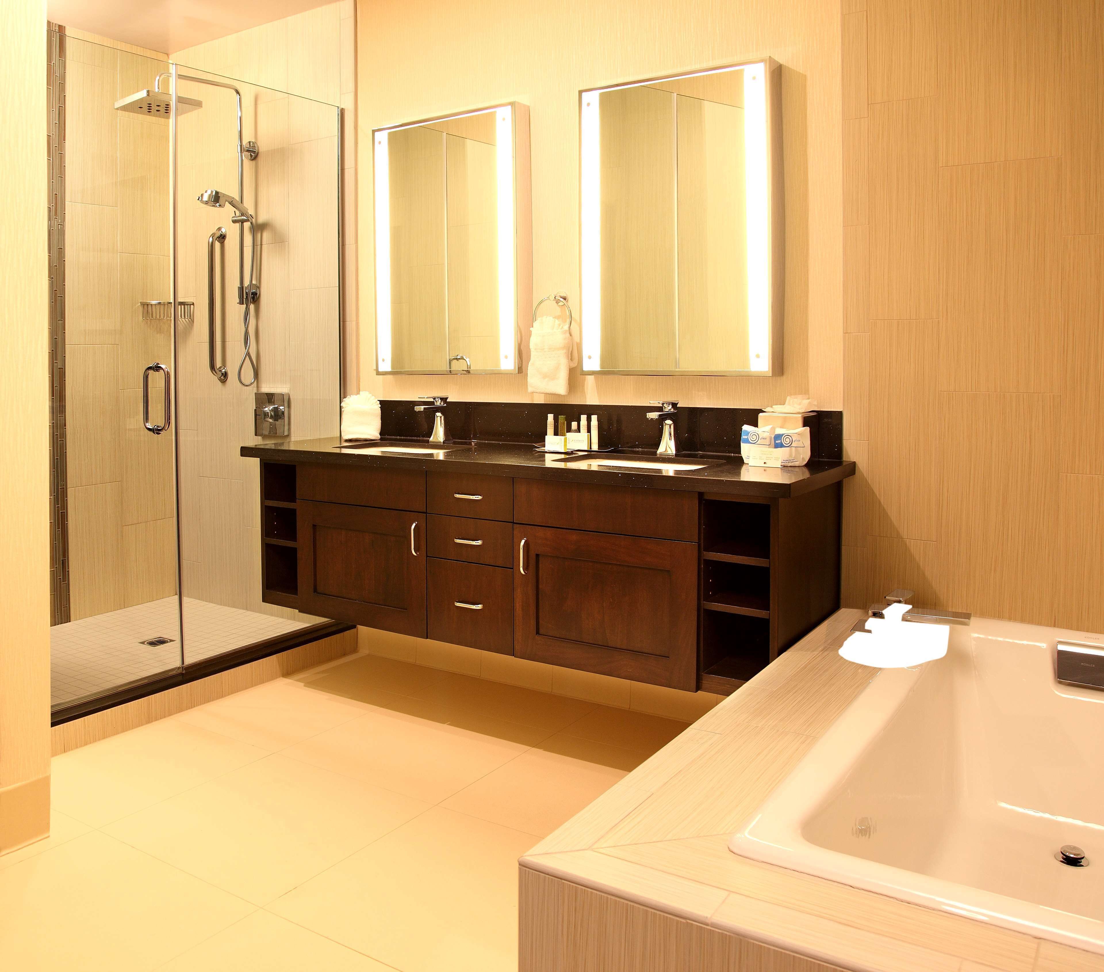 combined shower/bathtub, free toiletries, hair dryer, towels