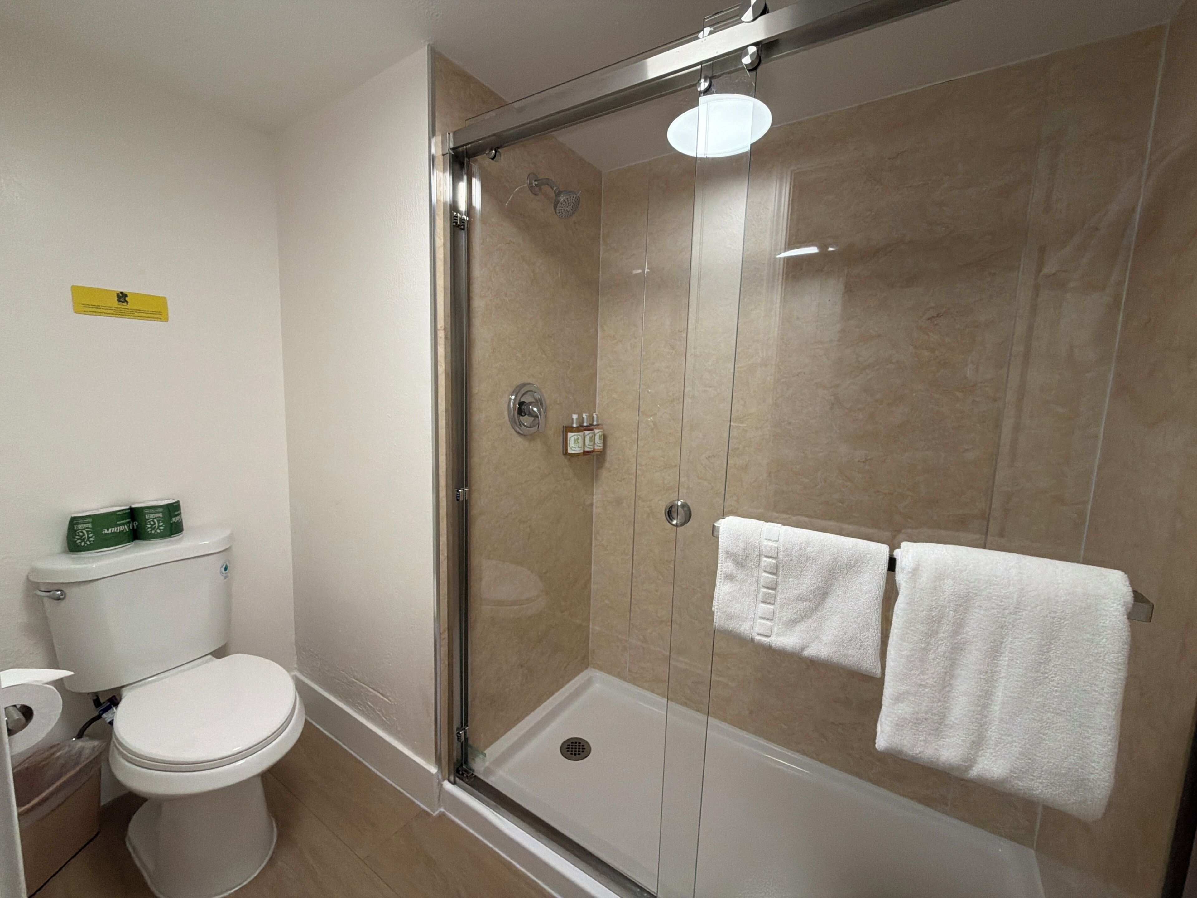 Een badkamer met een douche met glazen wand, een toilet en een wastafel.