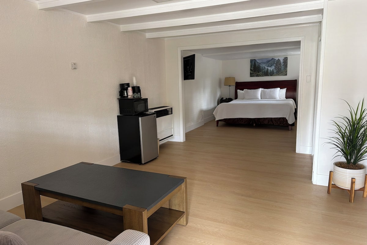 Una habitación de hotel con kitchenette, una cama, una mesita de noche, una lámpara y una planta.