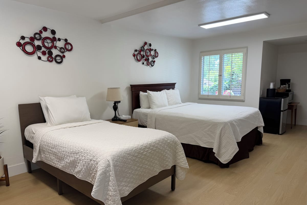 Habitación básica doble | Tabla de planchar con plancha y ropa de cama 
