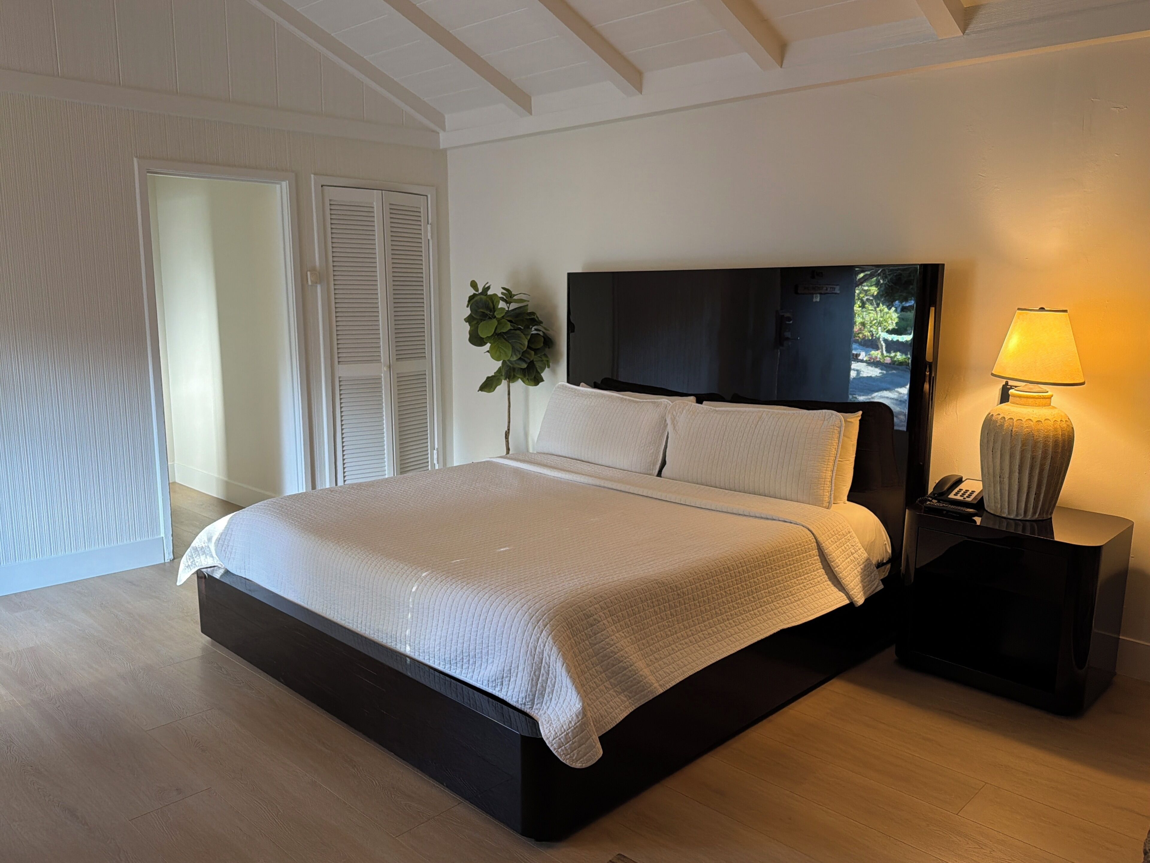 A modern bedroom with a large bed, a flat-screen TV, a bedside lamp, and a potted plant.
