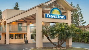 A Days Inn building with a prominent sign, a covered entrance, and a palm tree in the foreground.