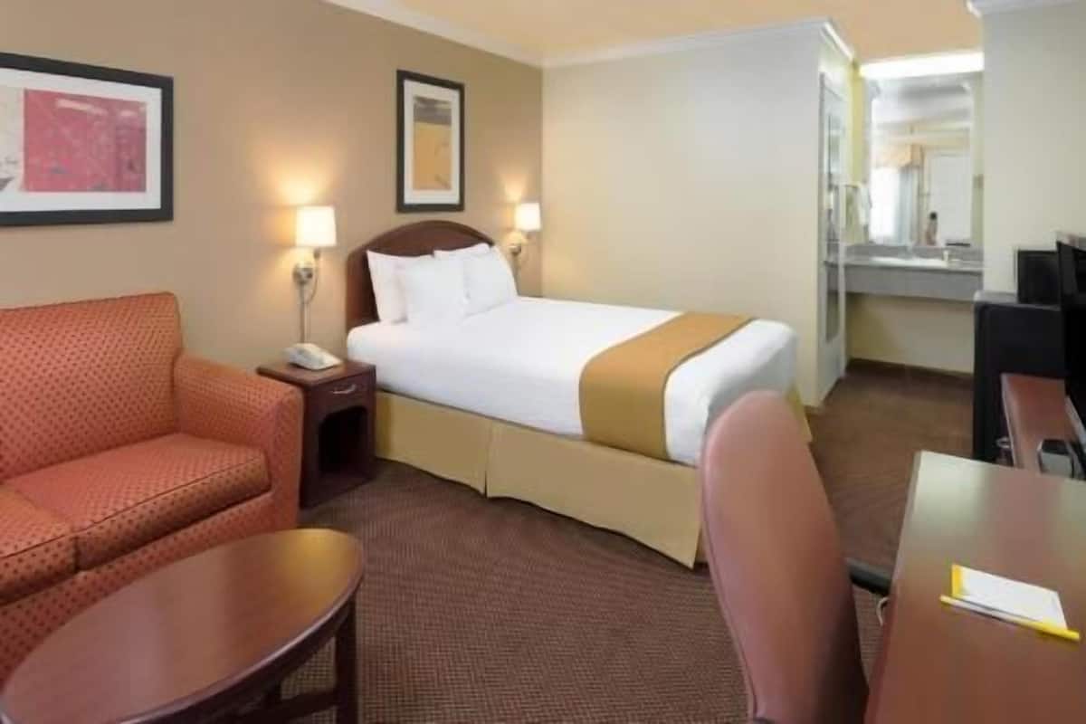 A hotel room with a bed, a sofa, a desk, and a chair.