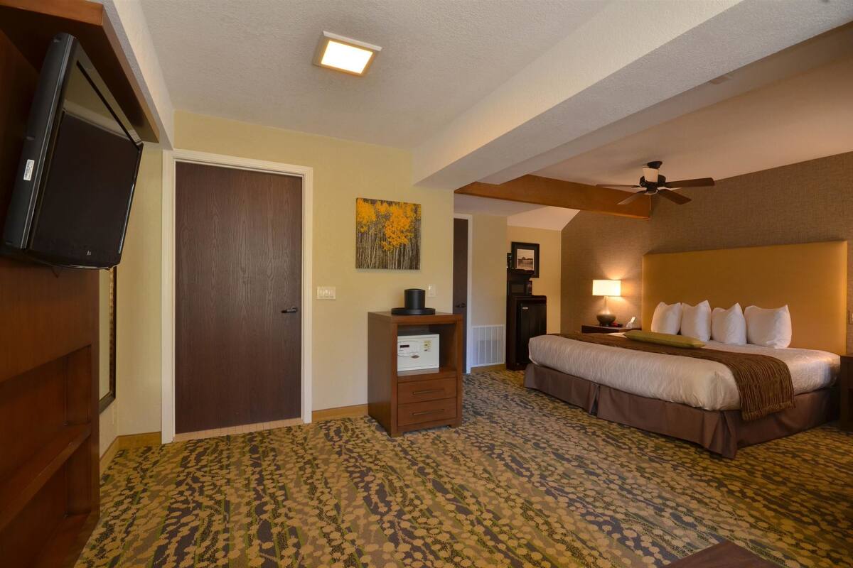 A hotel room with a bed, a television, a desk, and a ceiling fan.