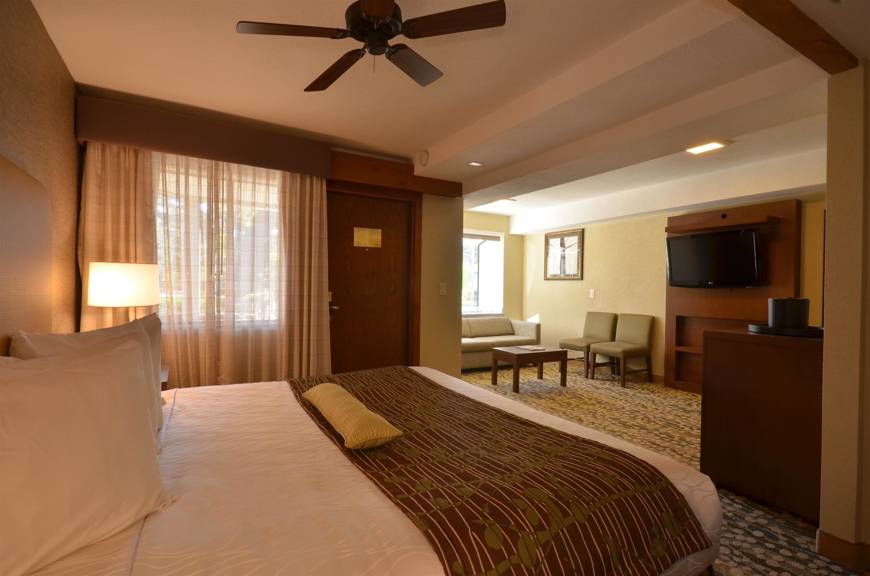 standard room, 1 king bed, accessible, bathtub | in-room safe, desk, blackout curtains, iron/ironing board