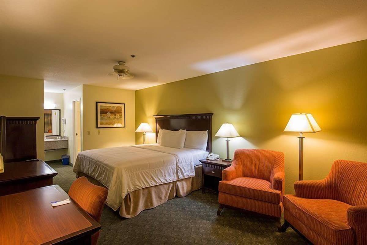 A hotel room with a bed, two chairs, a desk, and a nightstand.