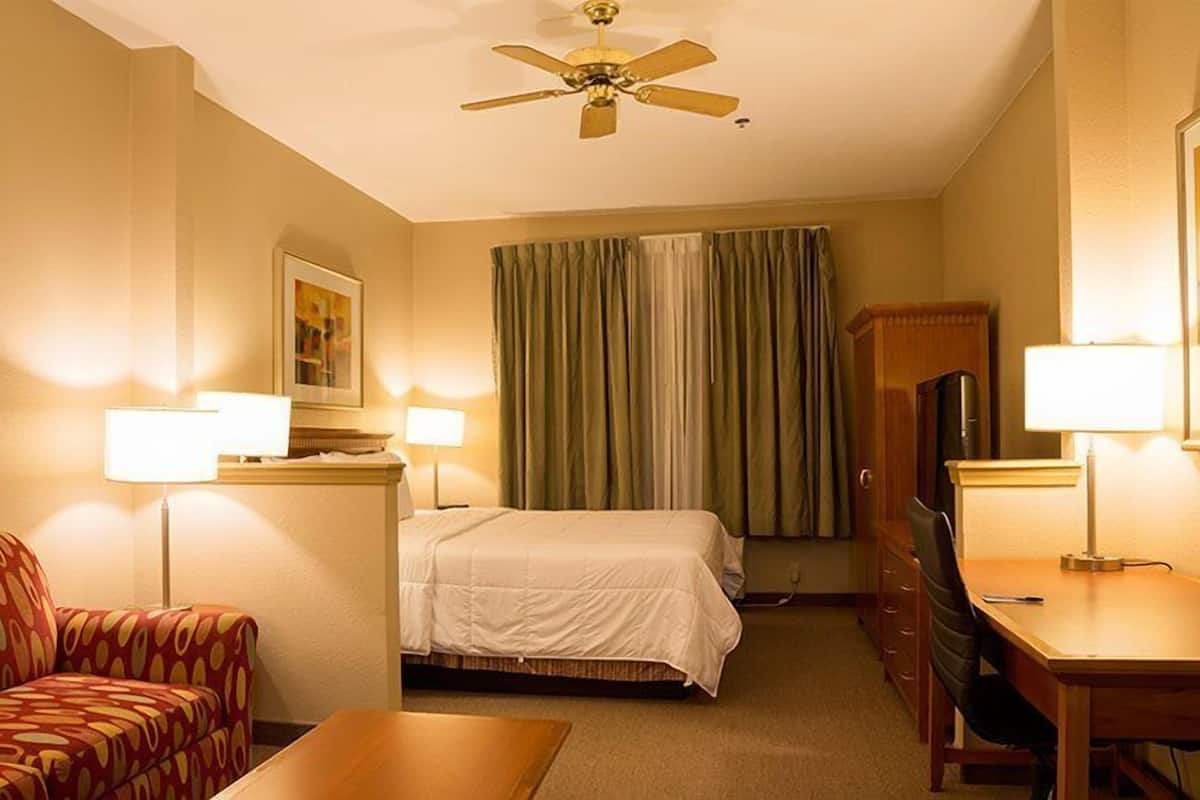 A hotel room with a bed, a desk, a chair, a television, and a ceiling fan.