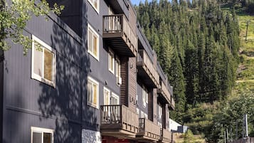 A multi-story building with balconies, large windows, and a forested hillside in the background.