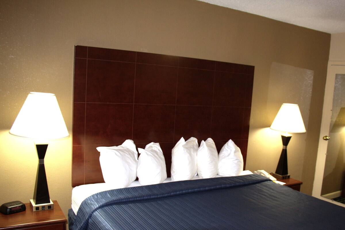 Standard Single Room | Desk, laptop workspace, iron/ironing board, free WiFi