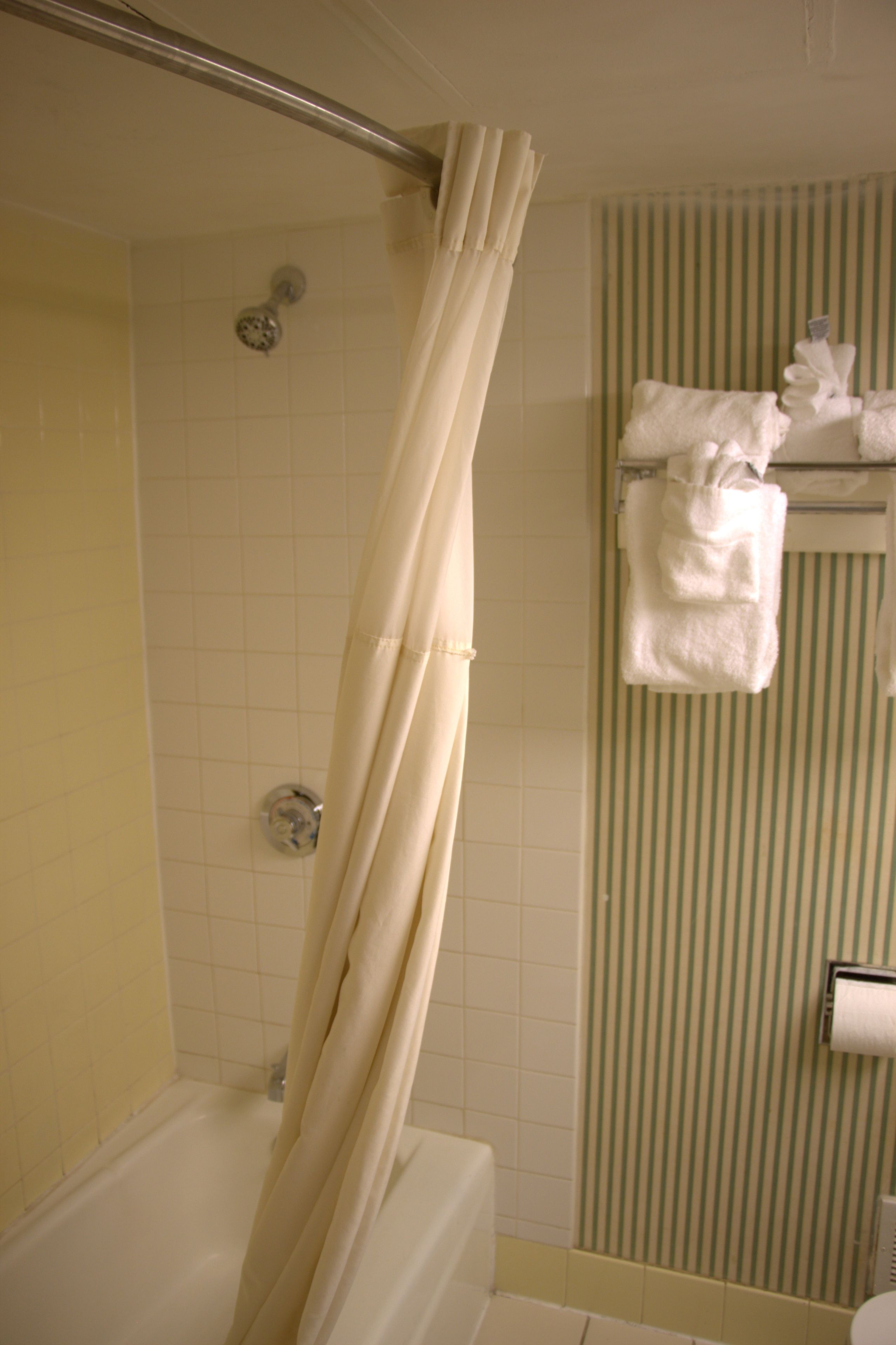 Combined shower/bathtub, free toiletries, hair dryer, towels