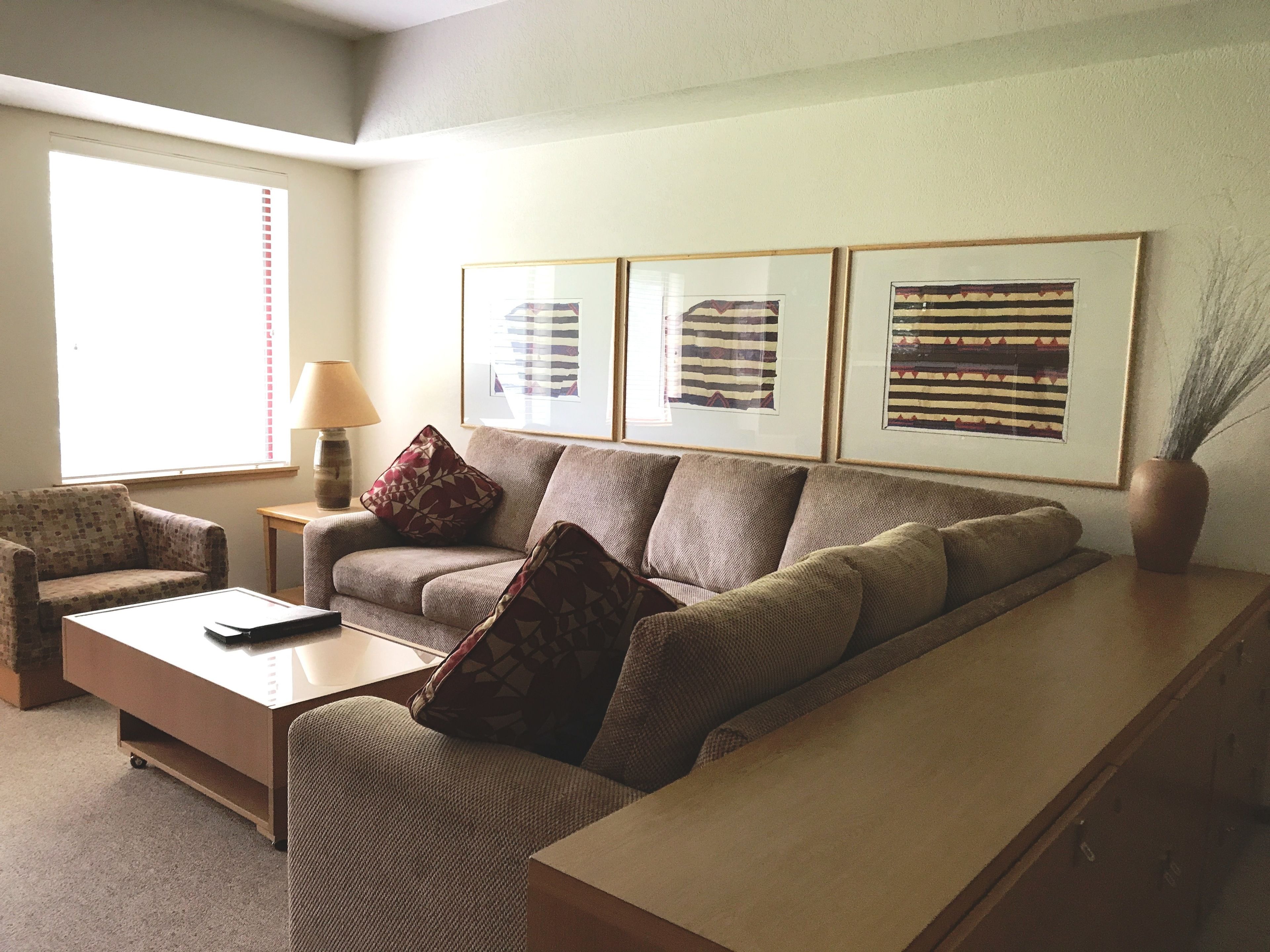 deluxe studio, 1 queen bed, non smoking | living area | 32-inch flat-screen tv with cable channels, tv, dvd player