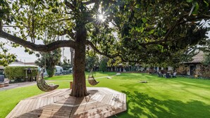 A tree with a swing and a wooden deck in a well-maintained garden area. - Inn Marin and Suites, an Ascend Collection Hotel (Novato)