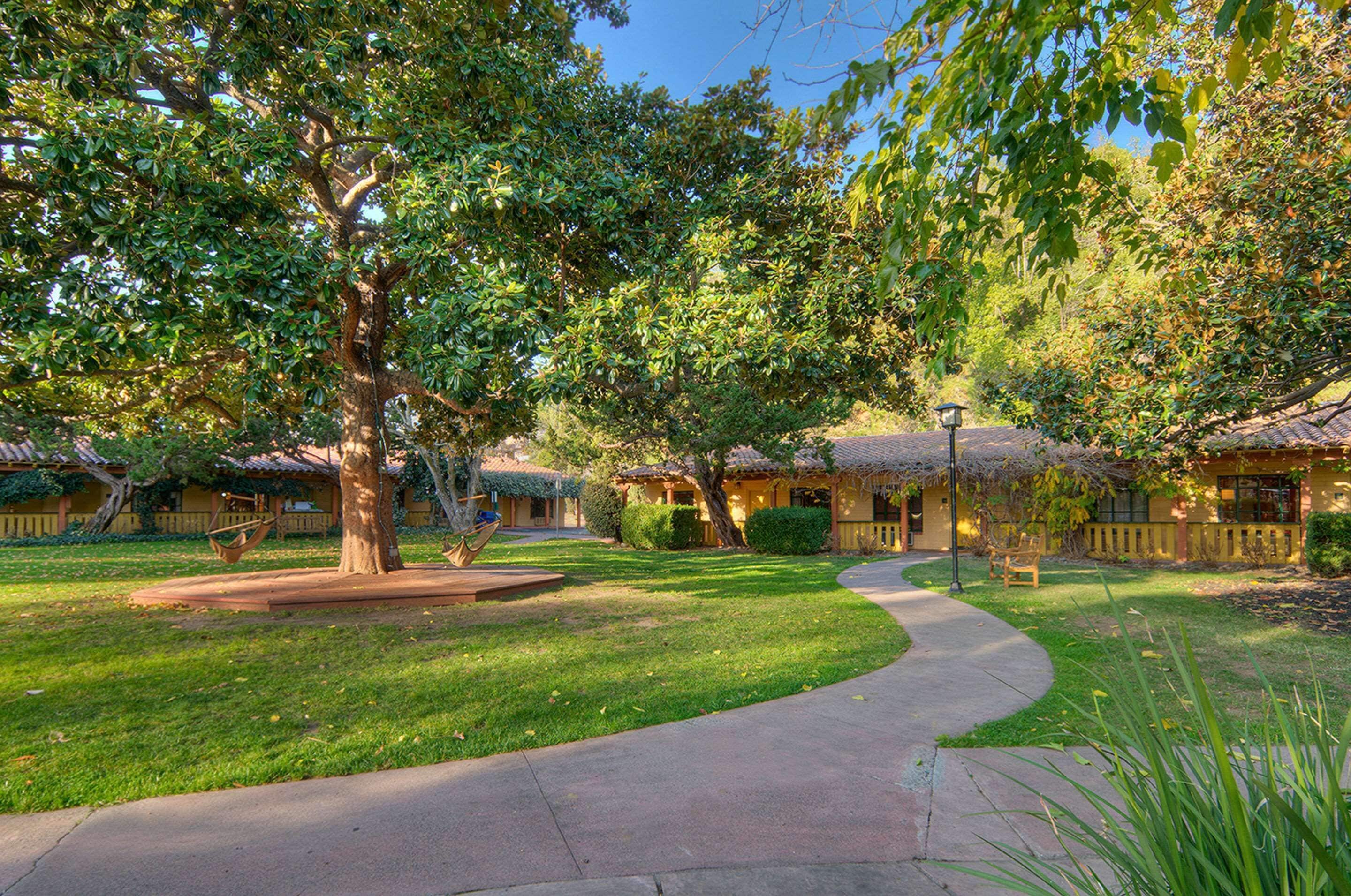 Un patio con un árbol central, un sendero curvo y un edificio con tejado de tejas.