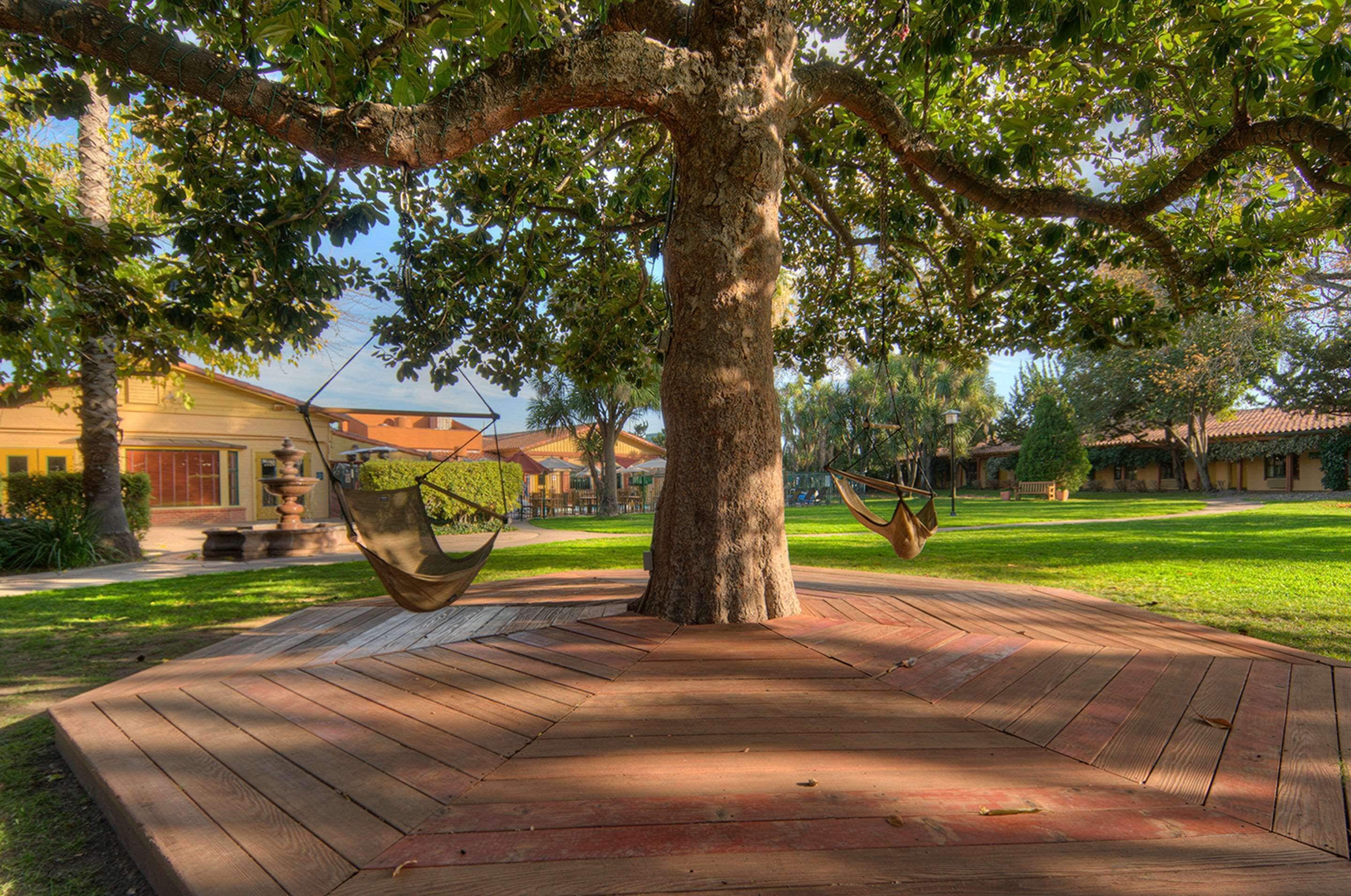 Eine Hängematte, die an einem Baum in einem Innenhof befestigt ist, mit einer Holzterrasse, umgeben von Gebäuden im traditionellen Baustil.