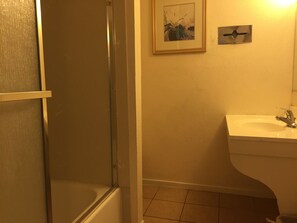 Shower, hydromassage showerhead, free toiletries, hair dryer