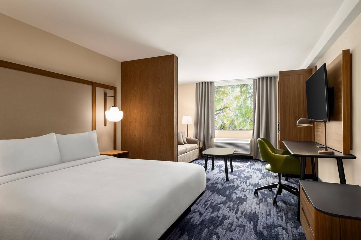 A hotel room with a large bed, a desk, a chair, a television, and a view of trees through the window.