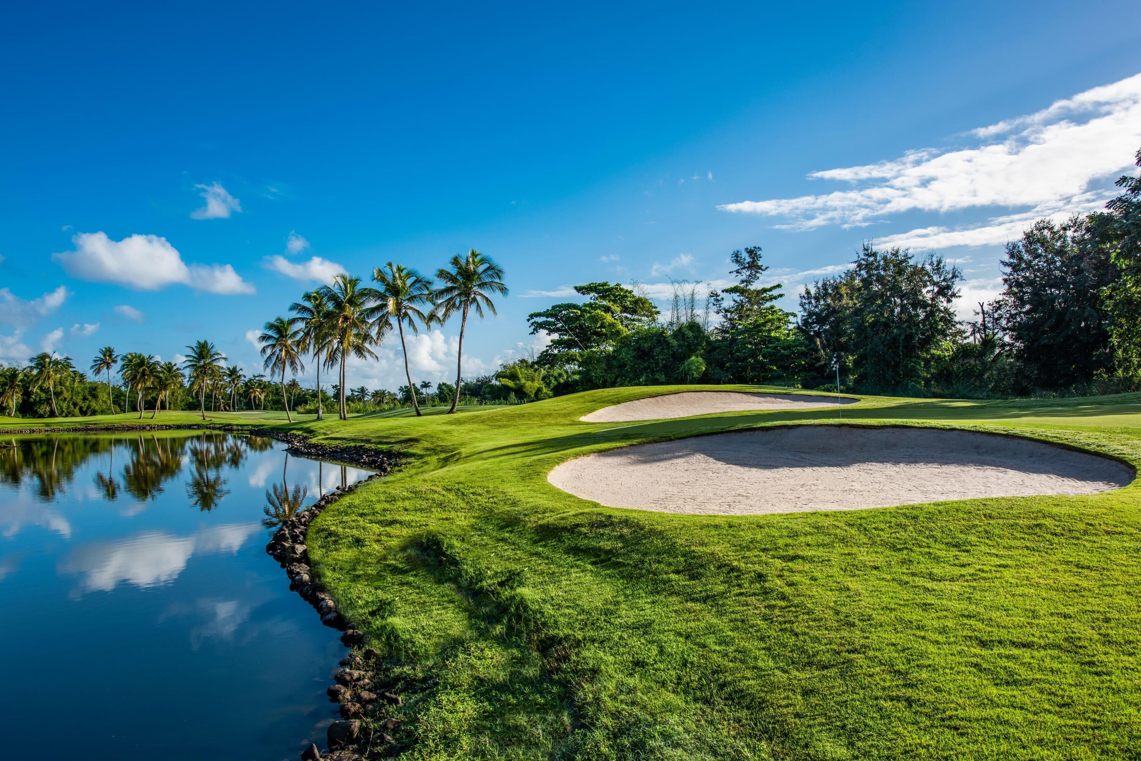 Un campo de golf con un estanque, búnkeres de arena y palmeras.