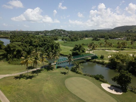 Wyndham Grand Rio Mar Rainforest Beach and Golf Resort - Image 51
