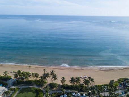 Wyndham Grand Rio Mar Rainforest Beach and Golf Resort - Image 106