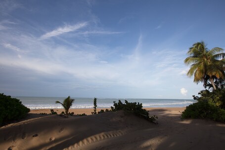 Wyndham Grand Rio Mar Rainforest Beach and Golf Resort - Image 117