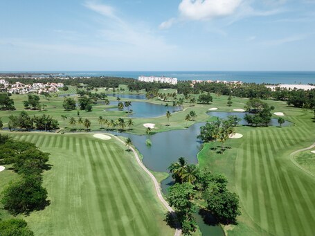 Wyndham Grand Rio Mar Rainforest Beach and Golf Resort - Image 52