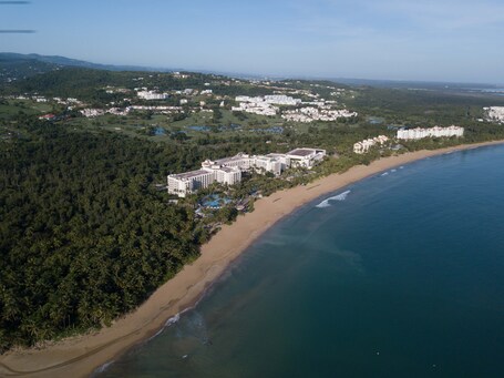 Wyndham Grand Rio Mar Rainforest Beach and Golf Resort - Image 133