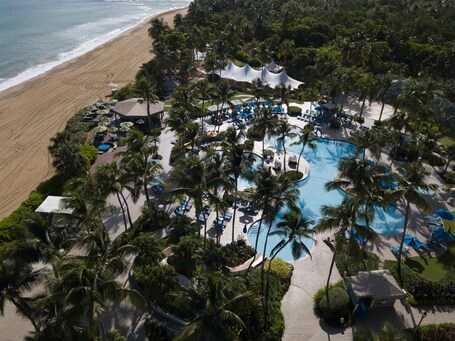 Wyndham Grand Rio Mar Rainforest Beach and Golf Resort - Image 98