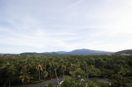 Wyndham Grand Rio Mar Rainforest Beach and Golf Resort - Image 72