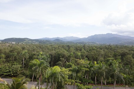 Wyndham Grand Rio Mar Rainforest Beach and Golf Resort - Image 83