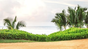 Una playa arenosa con palmeras y vista al océano.